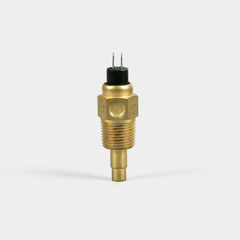 Sensor mecánico de temperatura del agua ESSW-09 de 2 pines para automoción